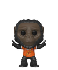 The Phoenix Suns Gorilla