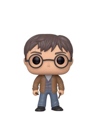 Harry Potter with Two Wands