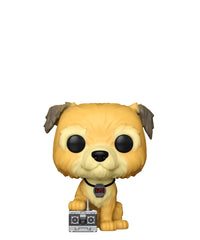 Einstein (with Remote Control and Stopwatch)
