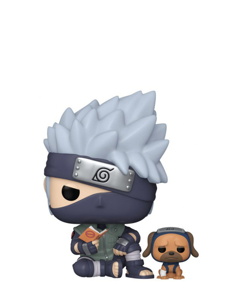 Kakashi Hatake with Pakkun