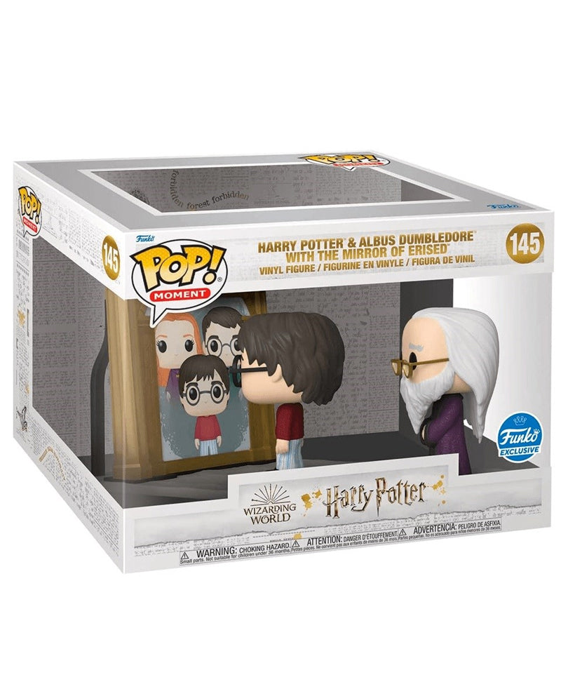 Harry Potter and Albus Dumbledore with The Mirror of Erised