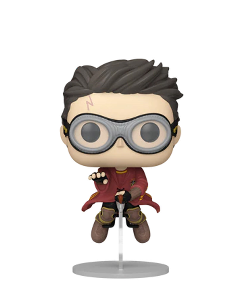 Harry Potter on Nimbus 2000