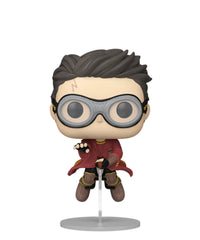 Harry Potter on Nimbus 2000