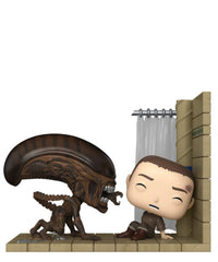 Ripley & The Runner