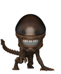 The Runner (6-Inch)