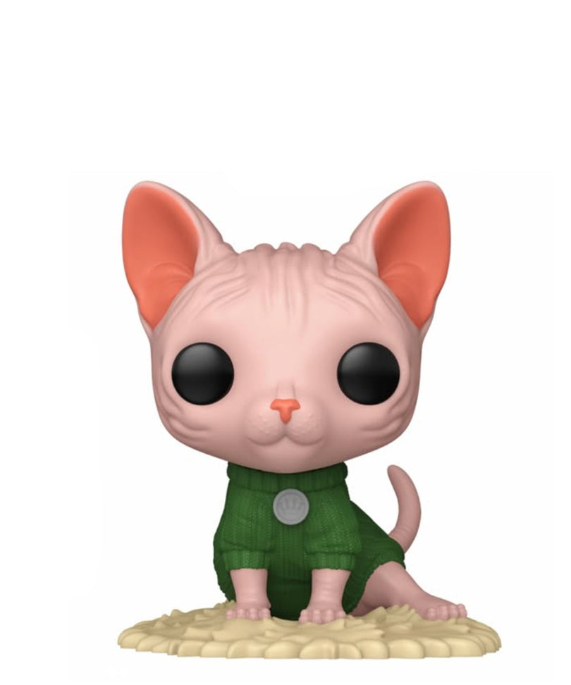 Sphynx