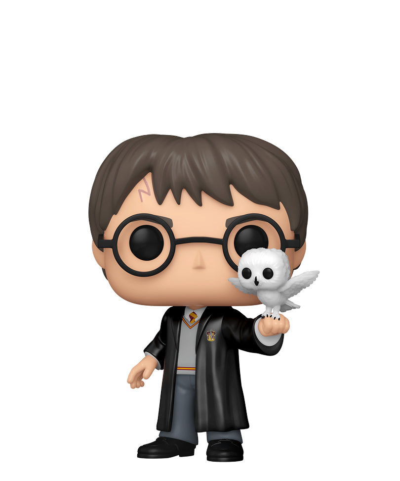 Harry Potter with Hedwig