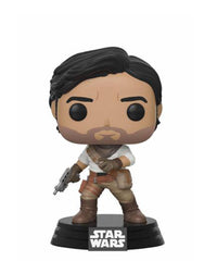 Poe Dameron (Rise of Skywalker)