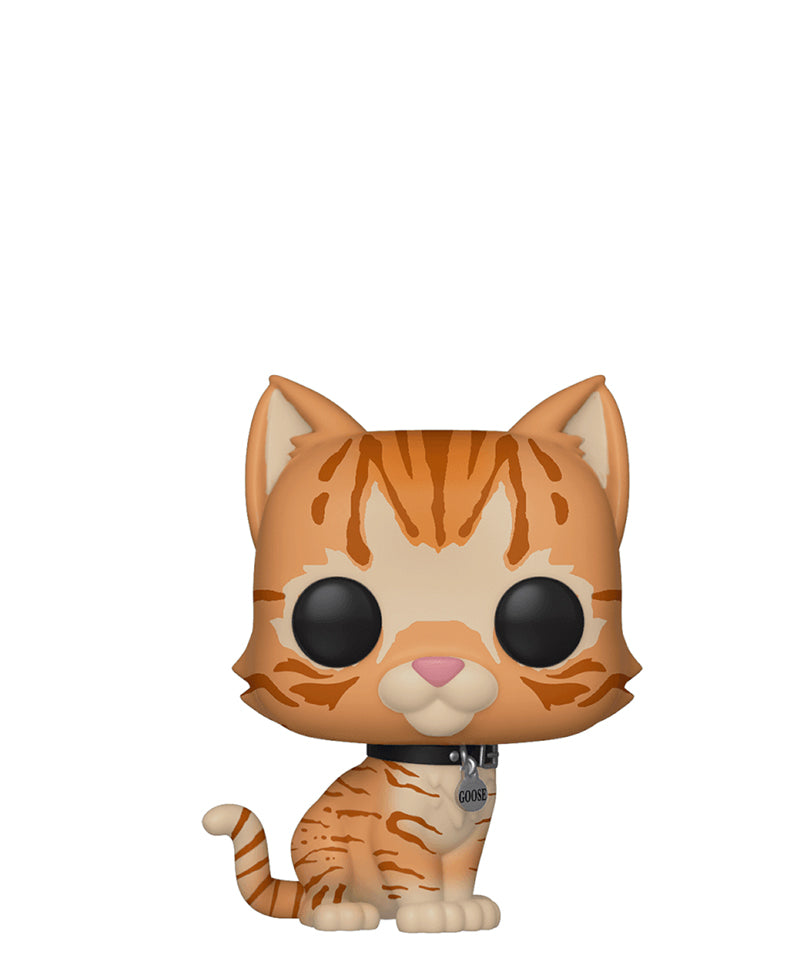 Goose the Cat