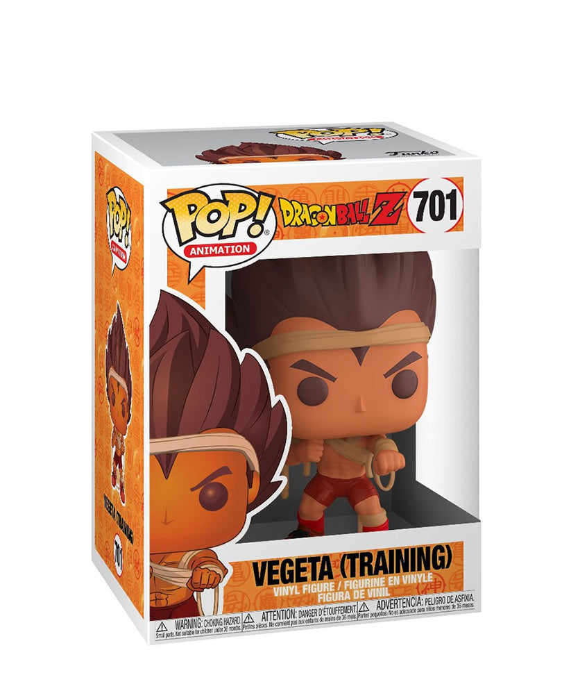 Training Vegeta