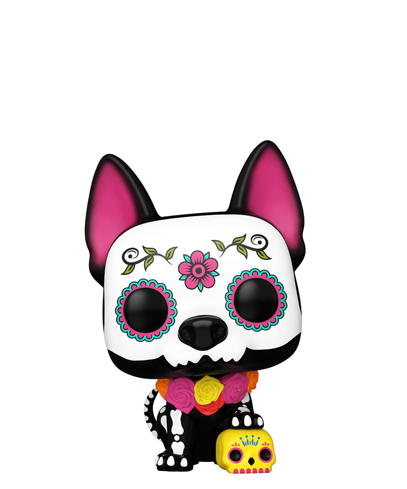 Xolo
