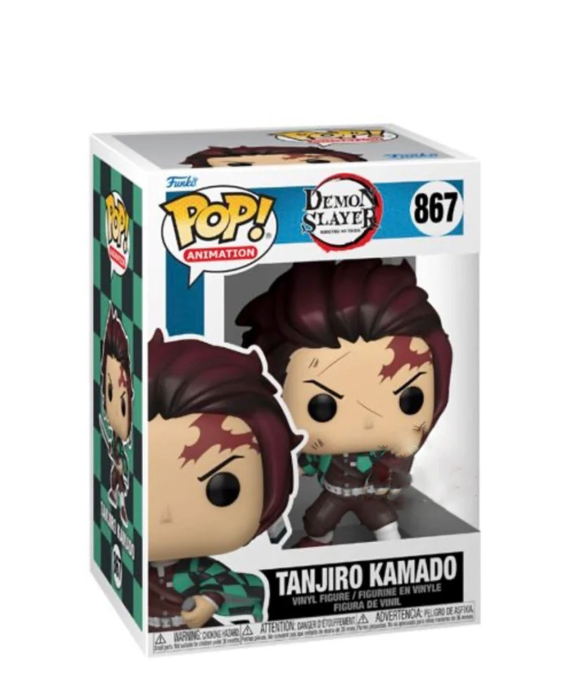 Tanjiro Kamado (Scar)