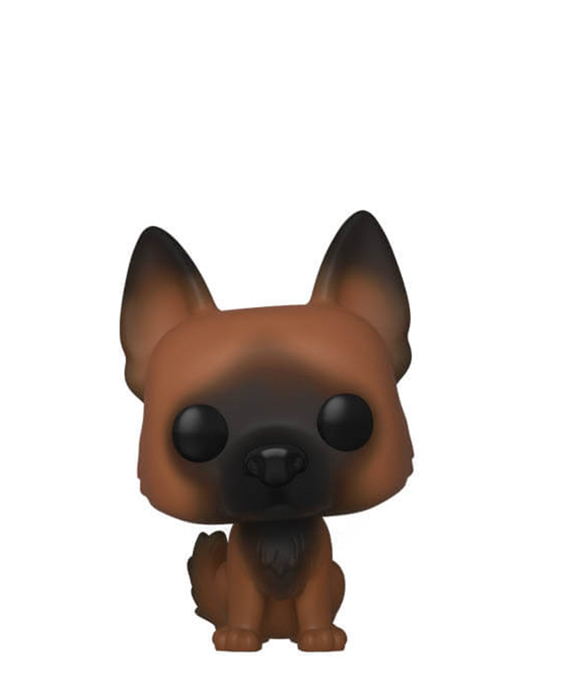 Dog (Season 10)