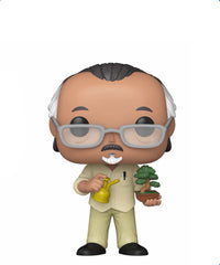 Mr. Miyagi