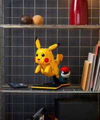 Pikachu and Poké Ball