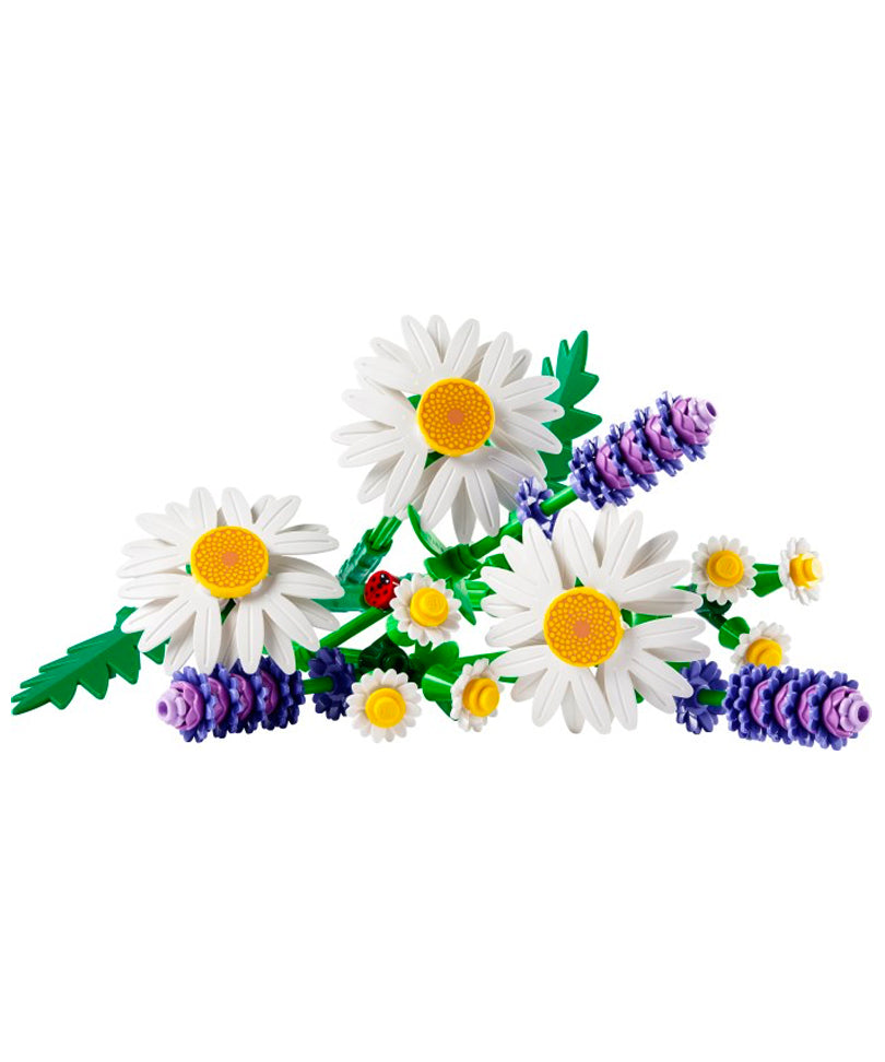 Daisies - Margherite