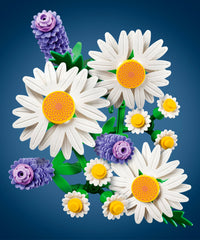 Daisies - Margherite
