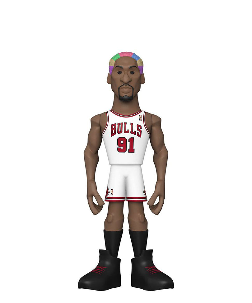 Dennis Rodman Chase