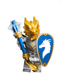 Dragonborn Paladin