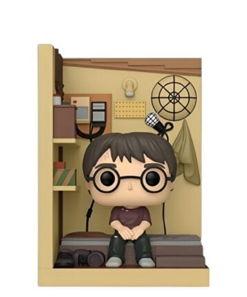Harry Potter in Cupboard