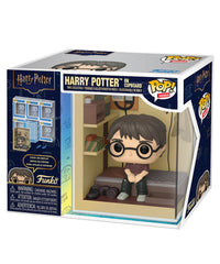 Harry Potter in Cupboard