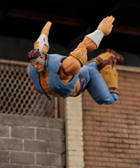 Street Fighter II: Hawk - Action Figure Deluxe in Scala 1:12