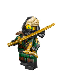Mysterious Ronin