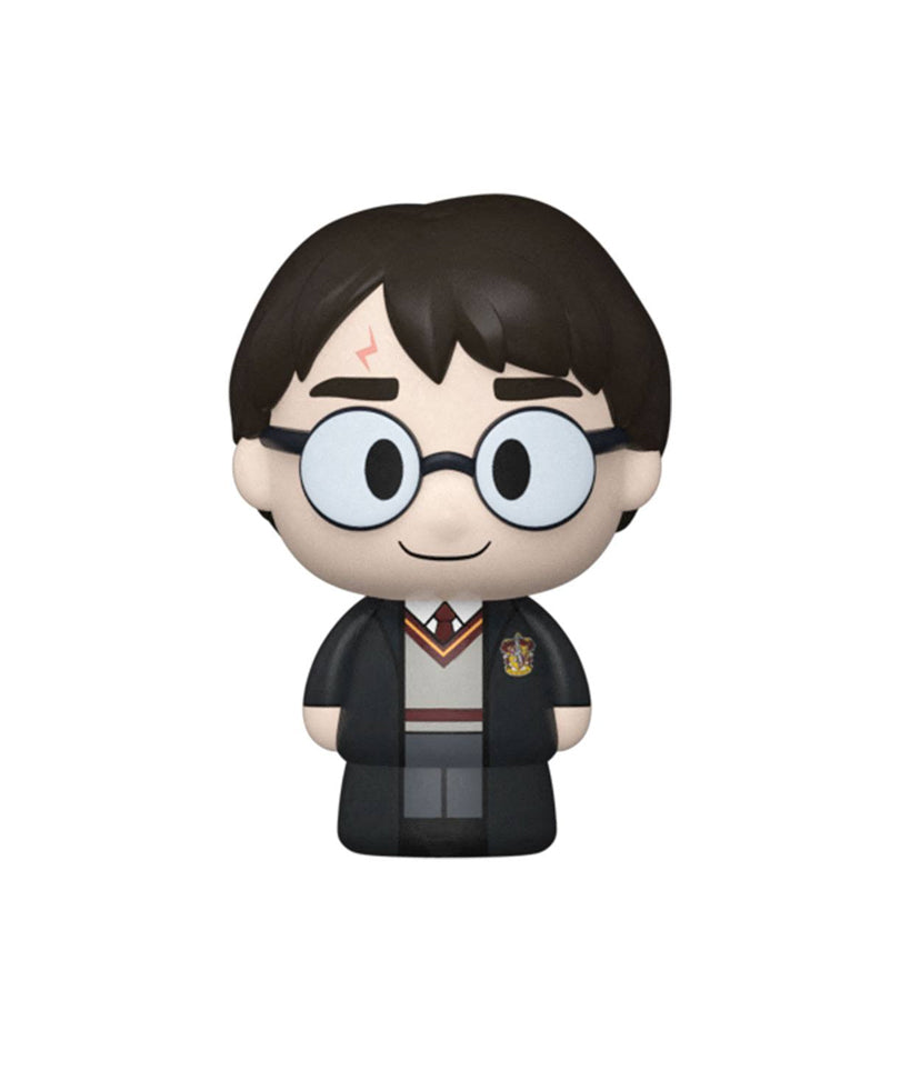 Potions Class - Harry Potter