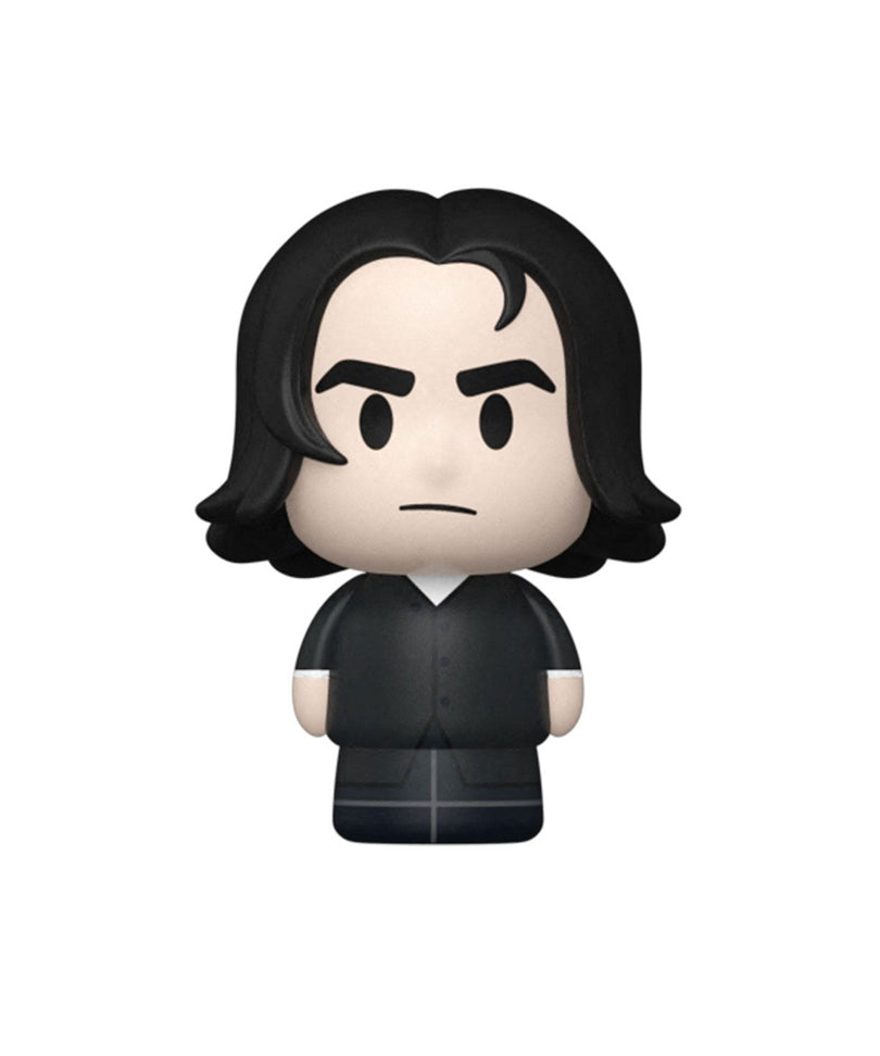 Potions Class - Professor Snape