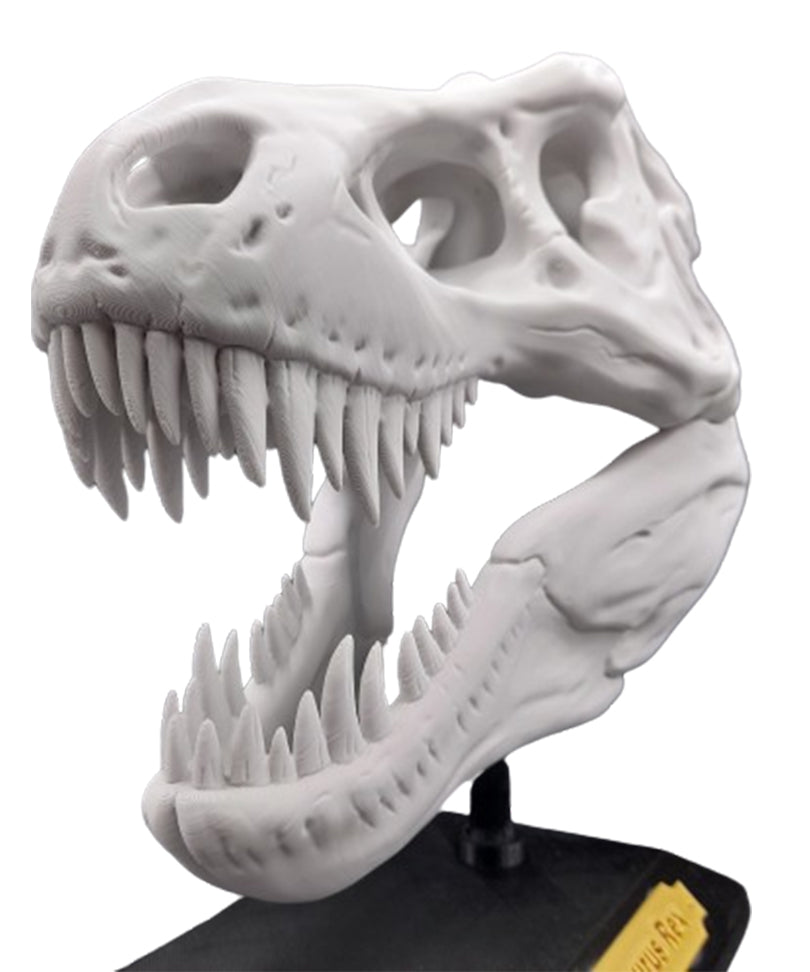 T-Rex