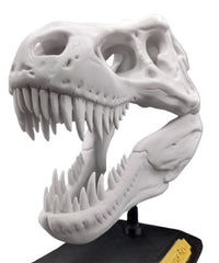 T-Rex