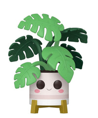 Monstera