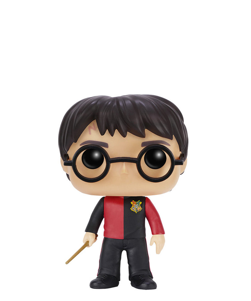 Harry Potter (Tri Wizard) 