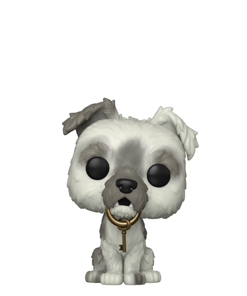 Pirates of the Caribbean Dog with Keys