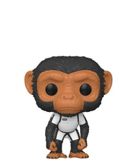 Baby Pogo
