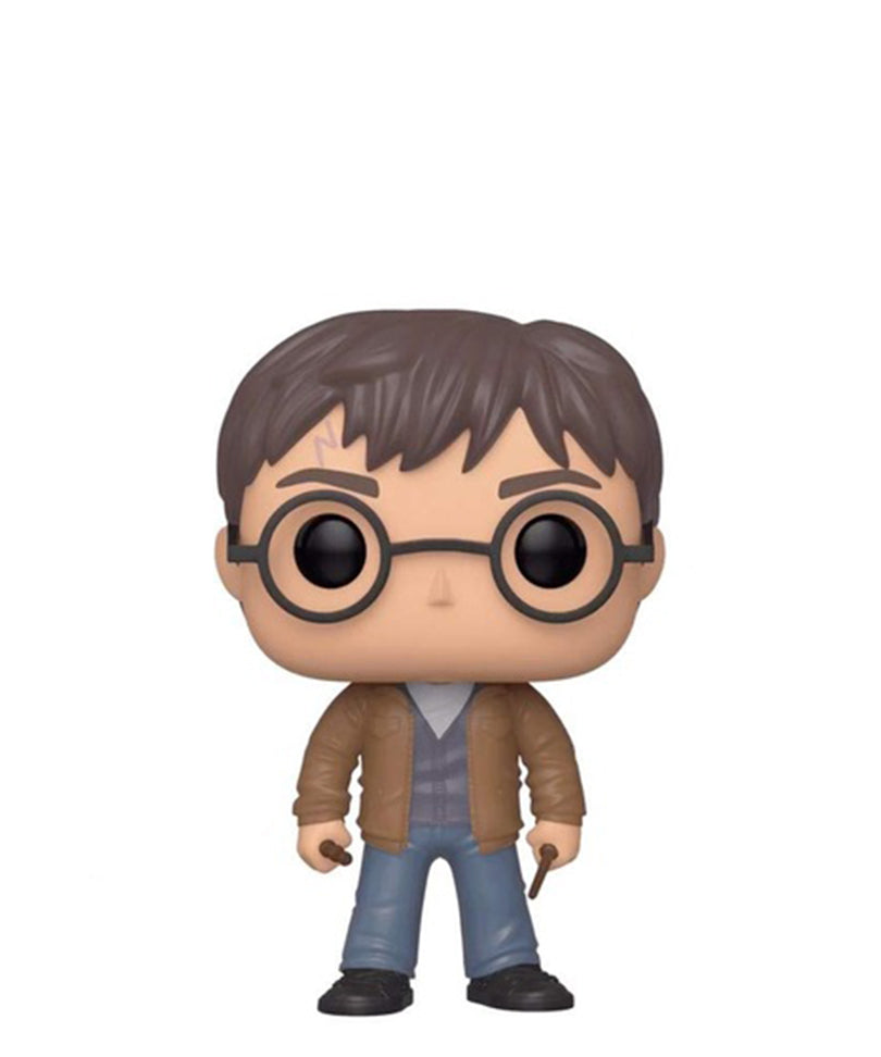 Harry Potter with Two Wands