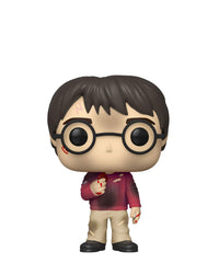 Harry Potter 20th Anniversary with Sorcerer's Stone