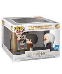 Harry Potter and Albus Dumbledore with The Mirror of Erised