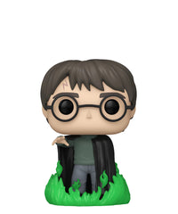 Harry Potter (Using Floo Powder) (Glow in the Dark)
