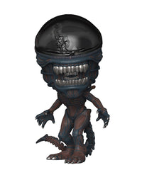 Scorched Xenomorph (6-Inch)