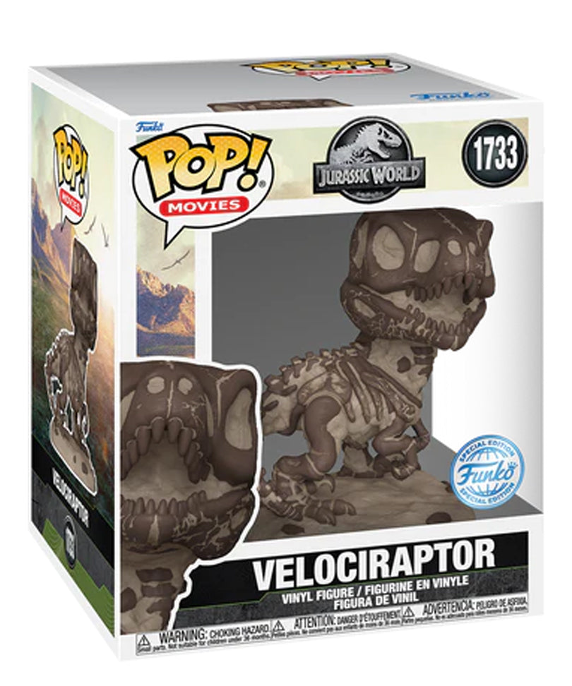 Velociraptor (Fossil) (6-Inch)