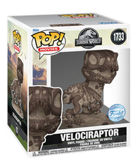 Velociraptor (Fossil) (6-Inch)