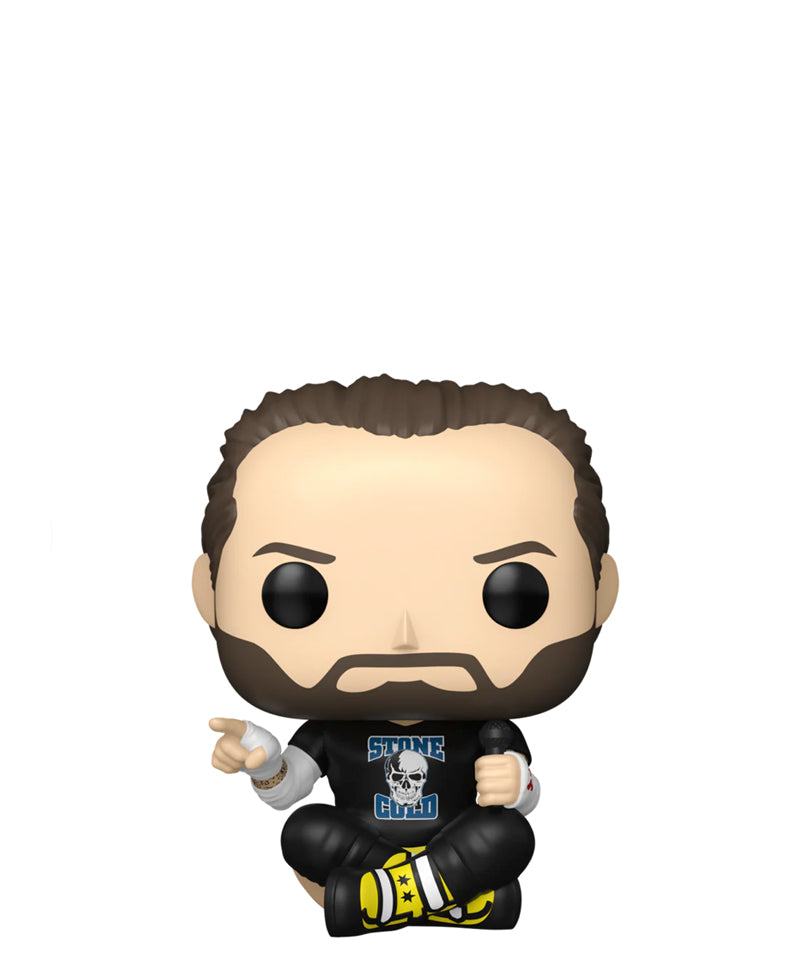 CM Punk