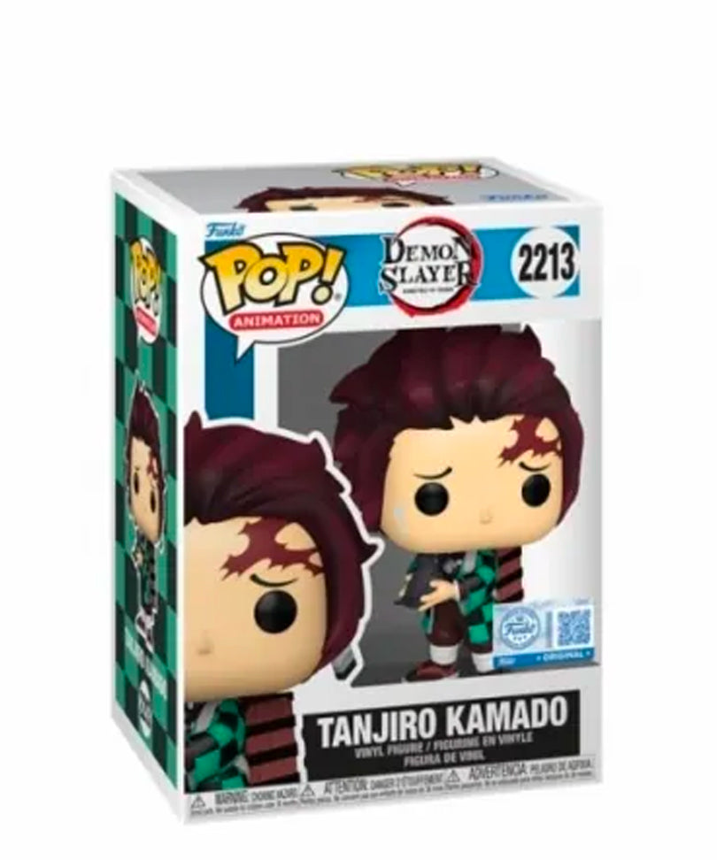 Tanjiro Kamado with Crow