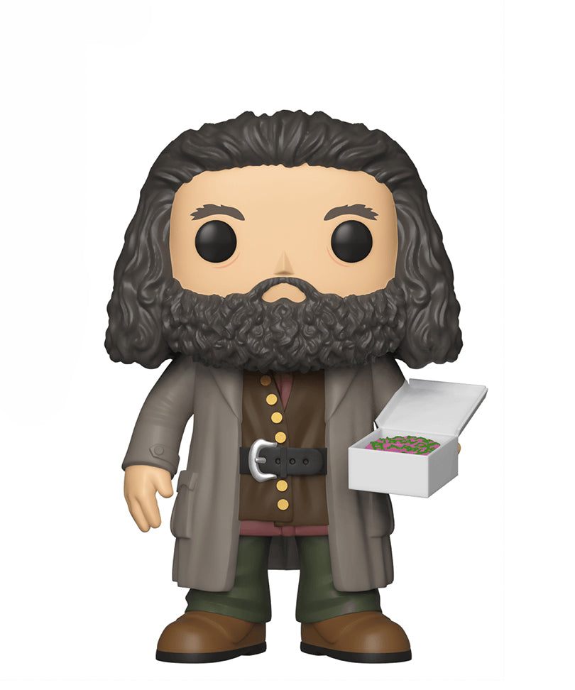 Rubeus Hagrid (Birthday Cake)