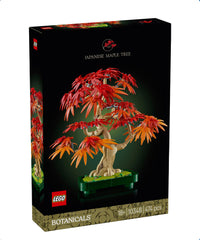 Bonsai di acero rosso giapponese