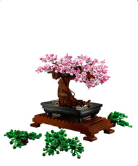 Bonsai Tree