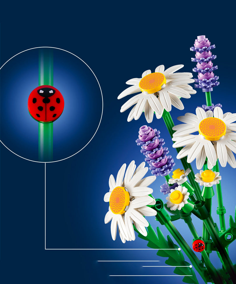 Daisies - Margherite