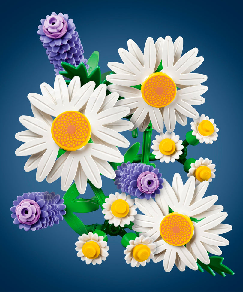 Daisies - Margherite