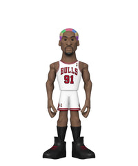 Dennis Rodman Chase